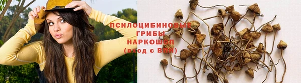 а пвп мука Кодинск