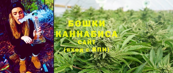 дурь Козельск