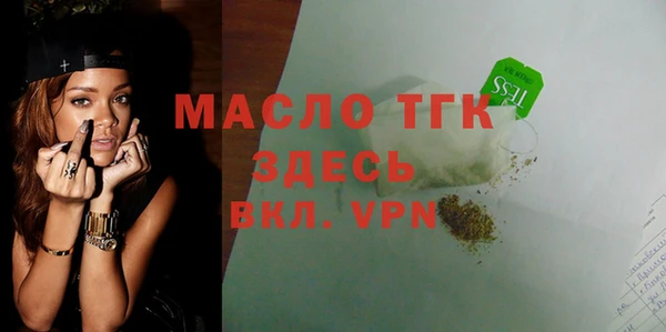 гашик Козловка
