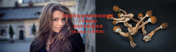 а пвп мука Кодинск