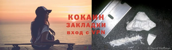 гашик Козловка