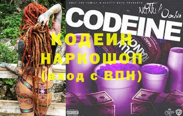 гашик Козловка