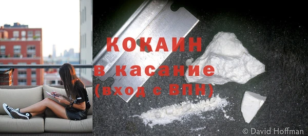 гашик Козловка