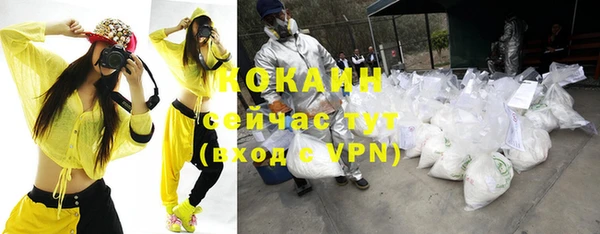 гашик Козловка