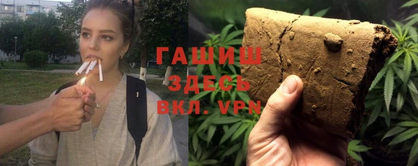 гашик Козловка