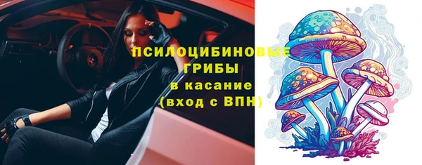 дурь Козельск