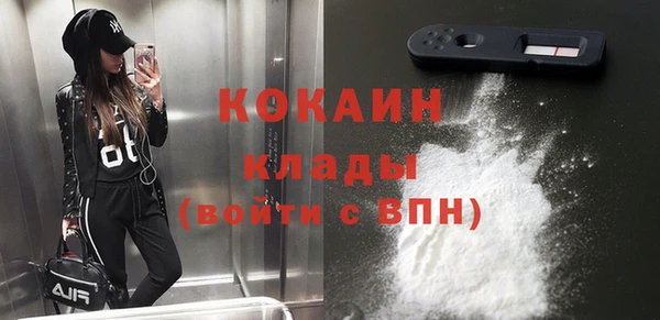 гашик Козловка