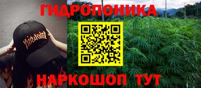 PSILOCYBIN Пушкино
