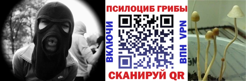 Псилоцибиновые грибы Psilocybe  Советск 