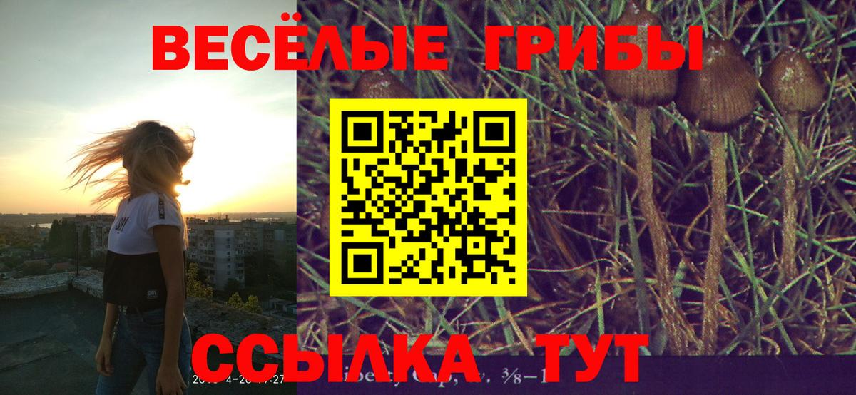 Псилоцибиновые грибы мицелий Советск